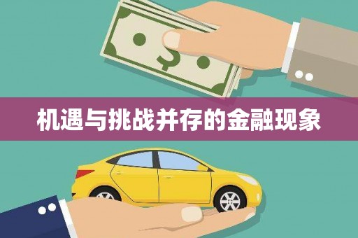 聂荣机遇与挑战并存的金融现象