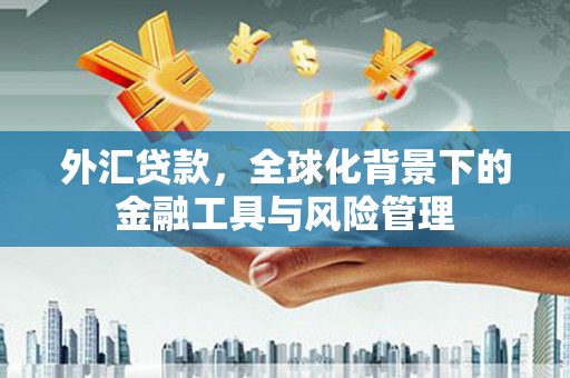 洛扎外汇贷款，全球化背景下的金融工具与风险管理