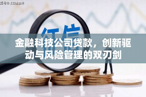 杭锦旗金融科技公司贷款，创新驱动与风险管理的双刃剑